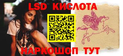 шишки Боровичи