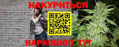 шишки Боровичи