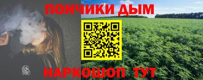 шишки Боровичи