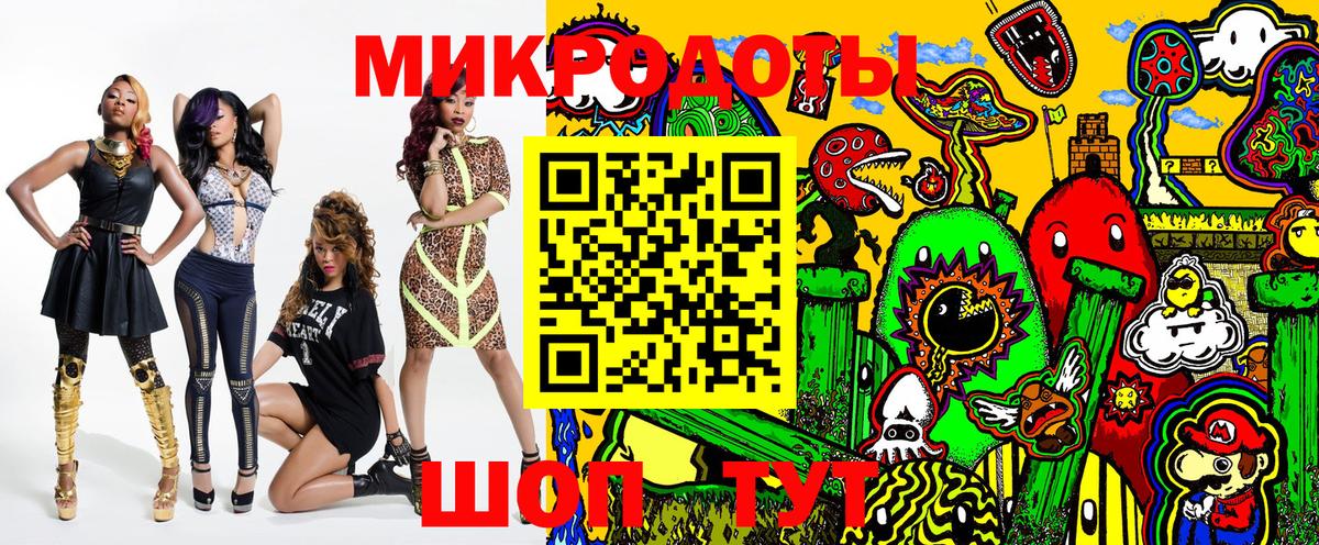 Псилоцибиновые грибы Psilocybe Уссурийск