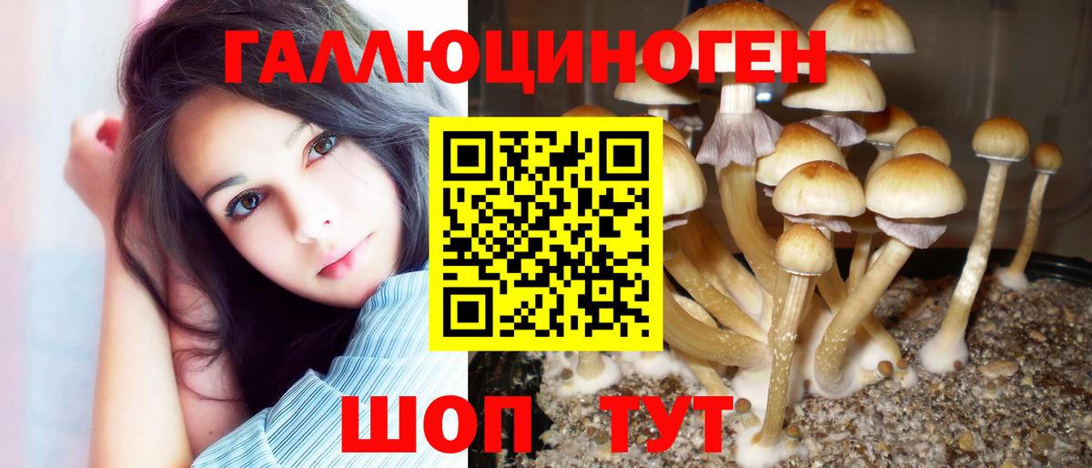 Уссурийск  Псилоцибиновые грибы MAGIC MUSHROOMS  Вход с VPN 