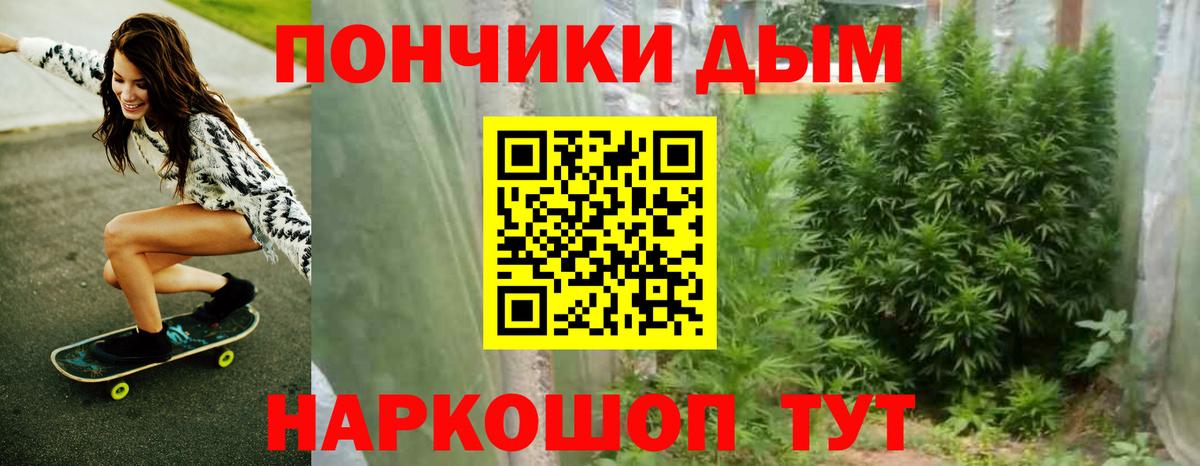 Каннабис планчик  Вход с VPN  Бошки марихуана Amnesia  Уссурийск 